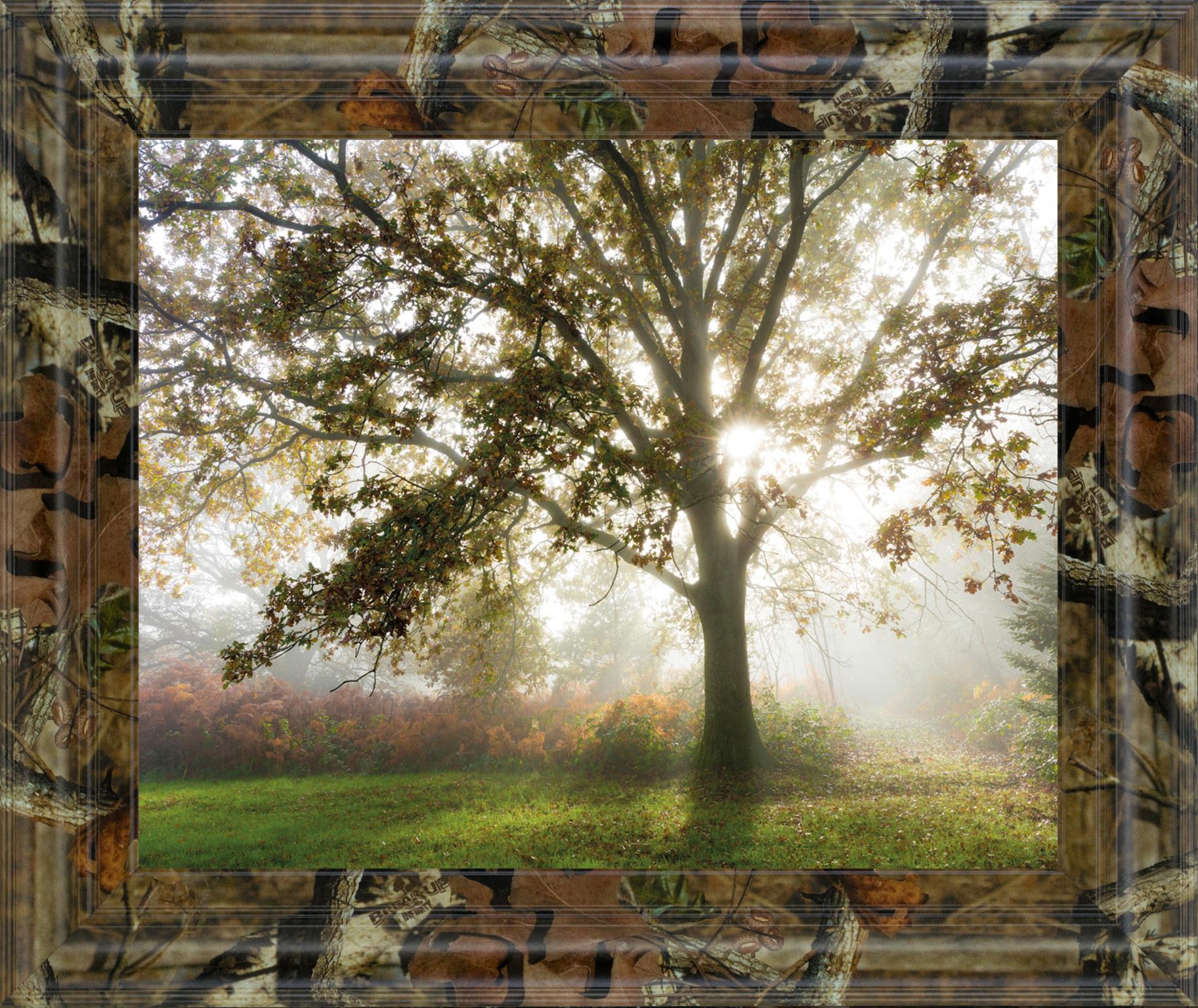 Morning Calm By Lee Frost ***Monl*** 22X26 Framed Print