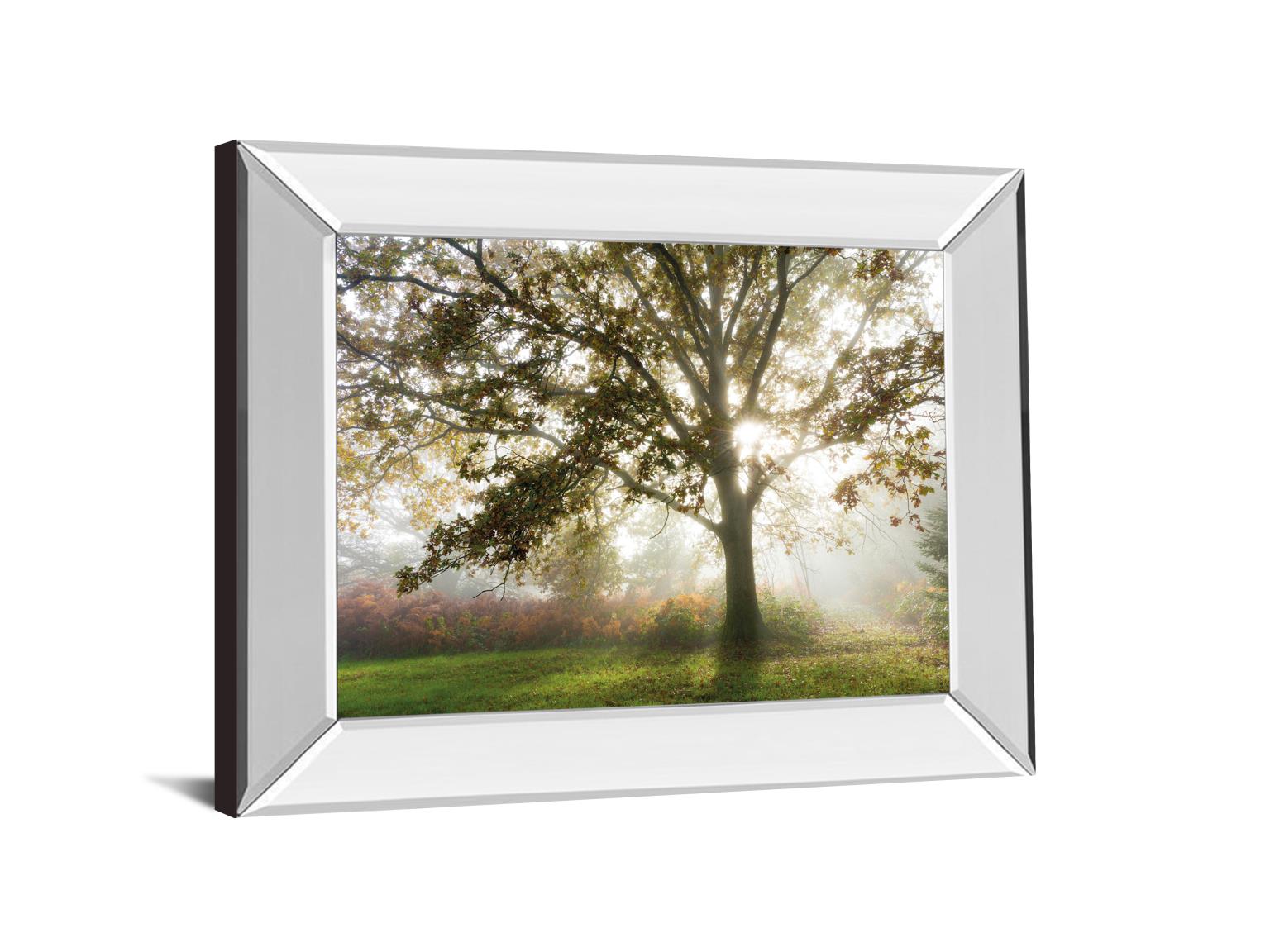 Mirrored Frame Morning Calm By Lee Frost 22X26 Mirror Frame Print