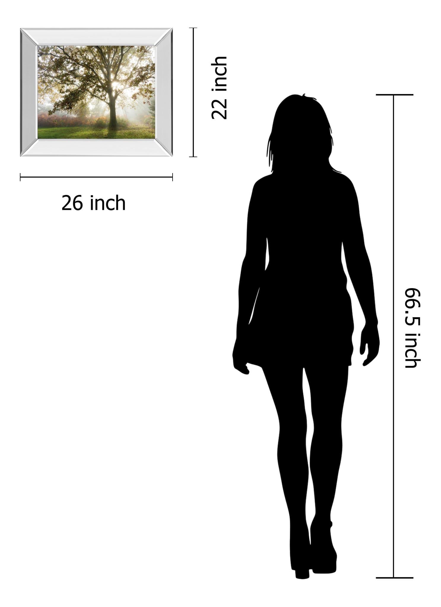 Mirrored Frame Morning Calm By Lee Frost 22X26 Mirror Frame Print