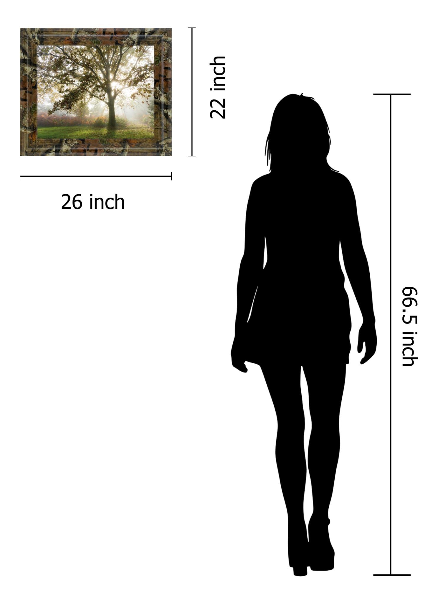 Morning Calm By Lee Frost ***Monl*** 22X26 Framed Print