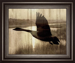 Journey By Tania Bello 22X26 Framed Print