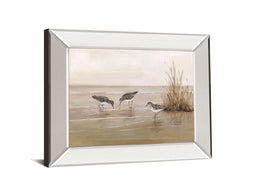 Early Risers Ii By Sally Swatland 22X26 Mirror Frame Print
