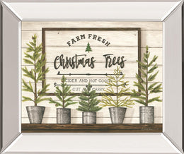 Farm Fresh Christmas Trees By Diane Weaver 22X26 Mirror Frame Print