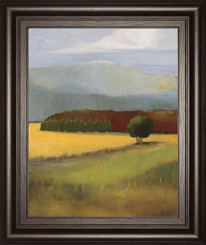 Field Of Gold By Judith D'Agostino 22X26 Framed Print
