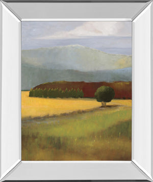 Field Of Gold By Judith D'Agostino 22X26 Mirror Frame Print