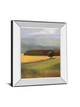 Field Of Gold By Judith D'Agostino 22X26 Mirror Frame Print