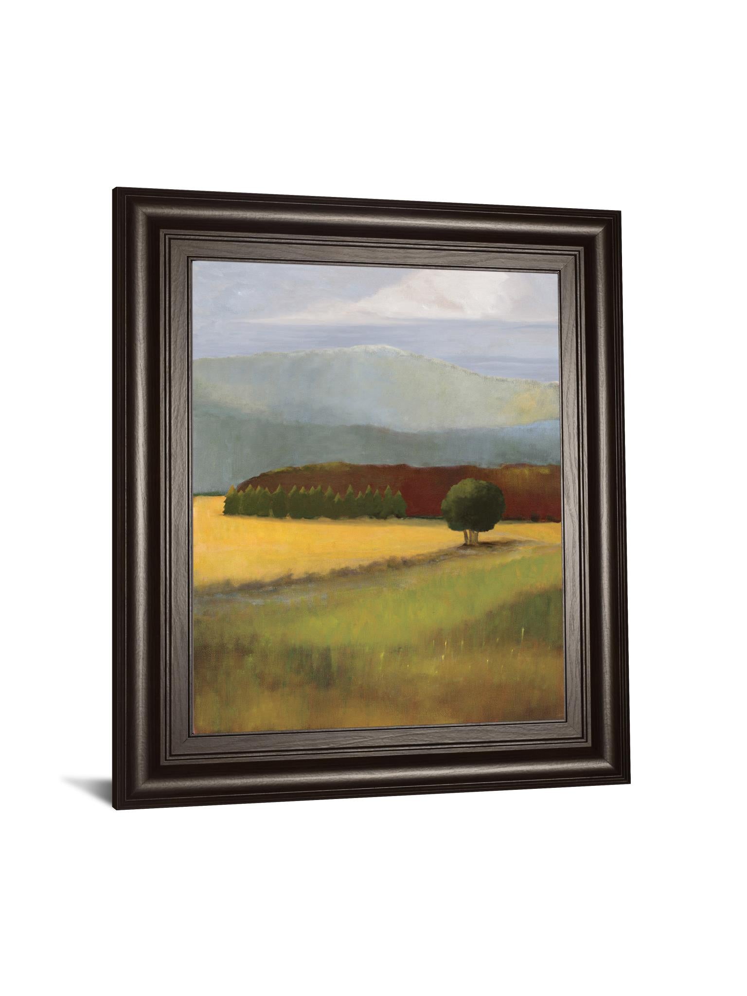 Field Of Gold By Judith D'Agostino 22X26 Framed Print