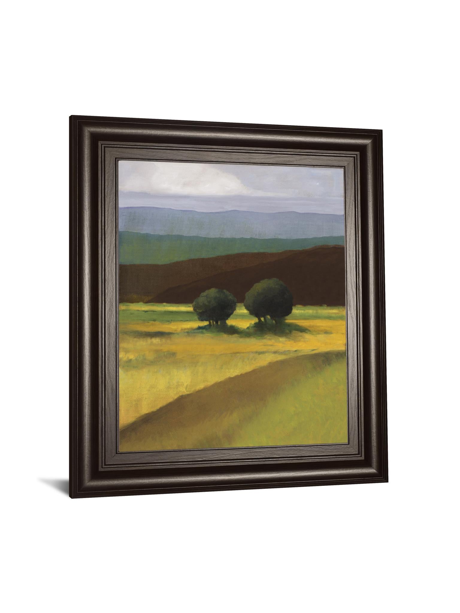 Field Of Light By Judith D'Agostino 22X26 Framed Print