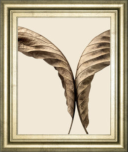 Turning Leaves Ii By Jeff Friesen 22X26 Framed Print