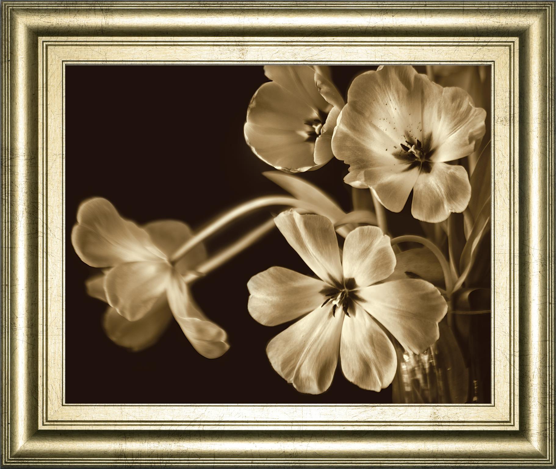 Elegante By Adrian Jendrasik 22X26 Framed Print