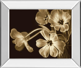 Elegante By Adrian Jendrasik 22X26 Mirror Frame Print