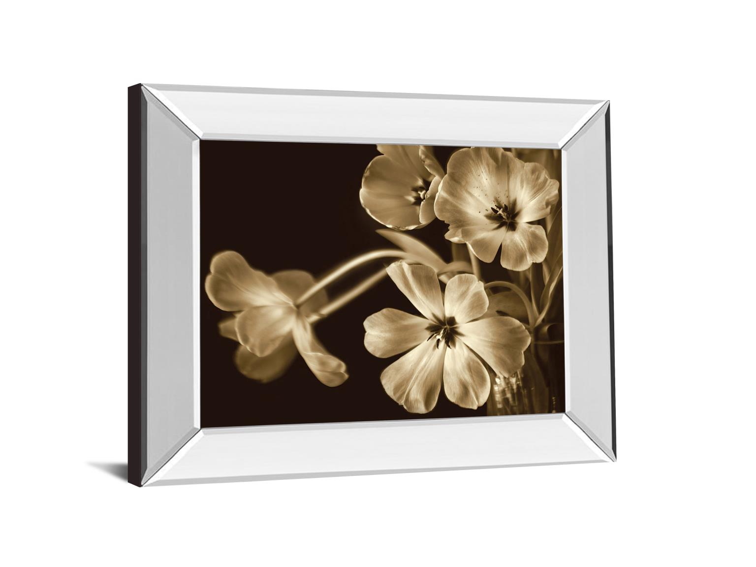 Elegante By Adrian Jendrasik 22X26 Mirror Frame Print