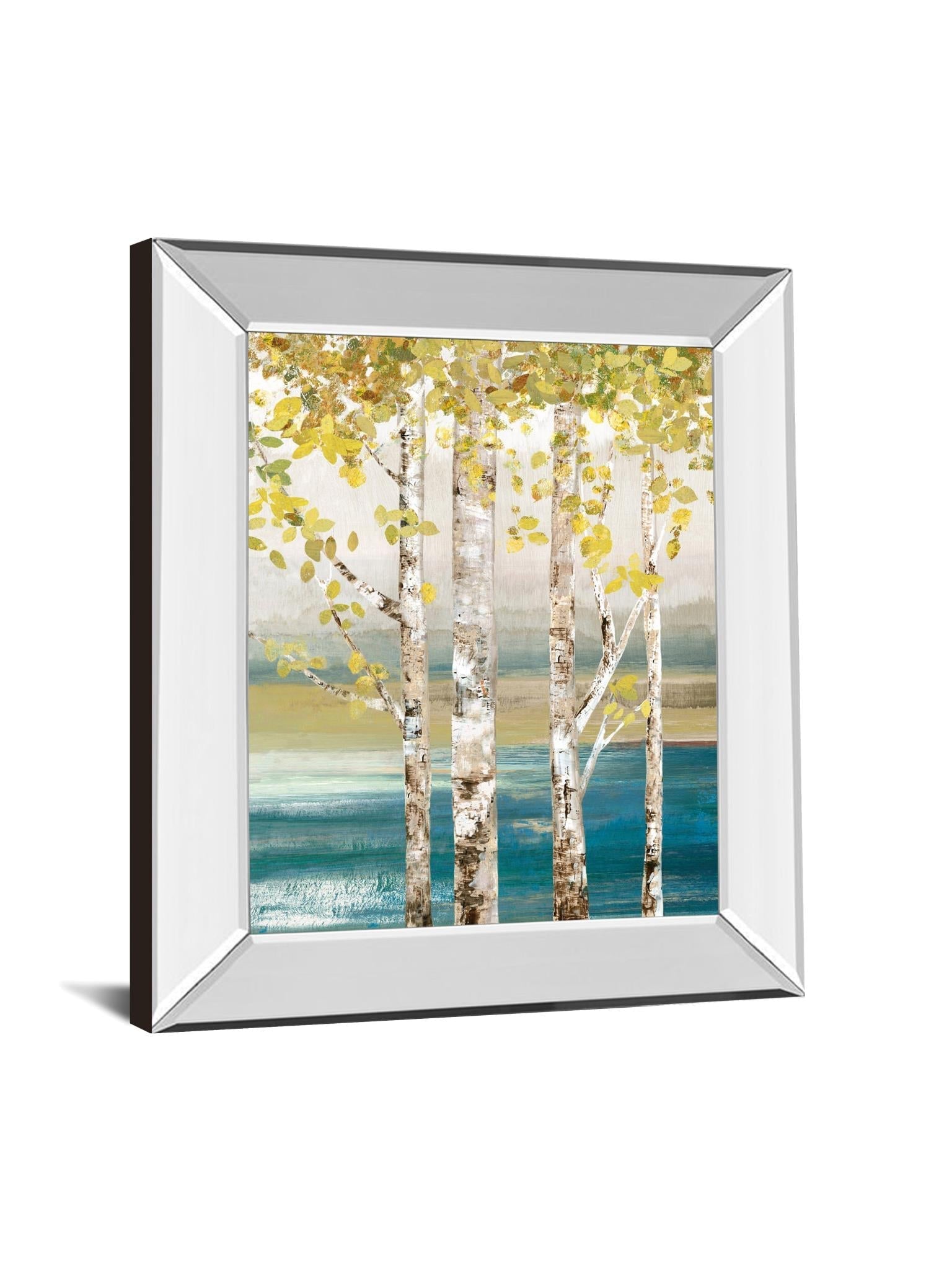 Down By The River By Allison Pearce 22X26 Mirror Frame Print
