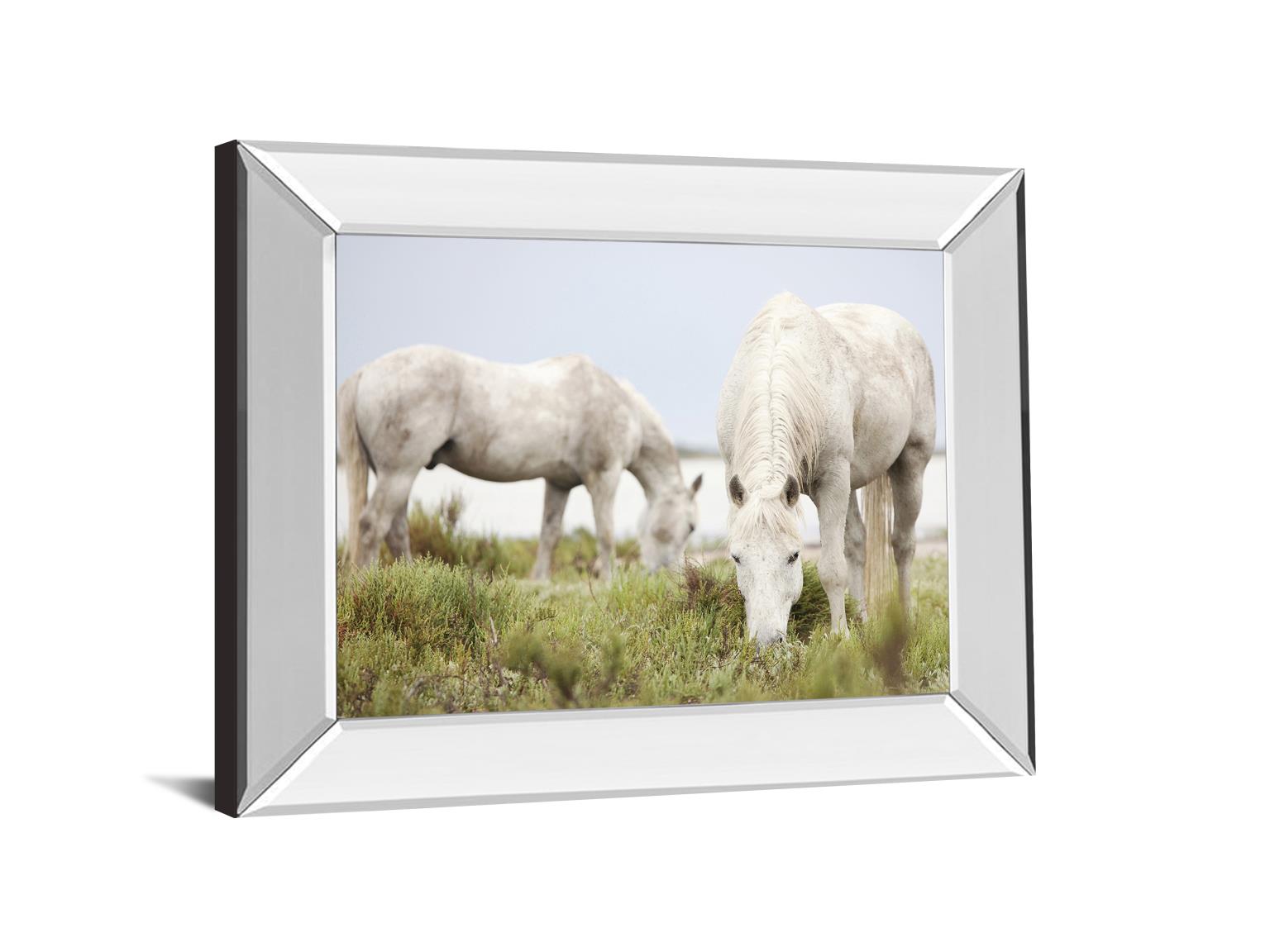 Peace By Irene Suchocki 22X26 Mirror Frame Print