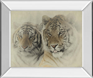 Mystic Realm By Wink Gaines 22X26 Mirror Frame Print