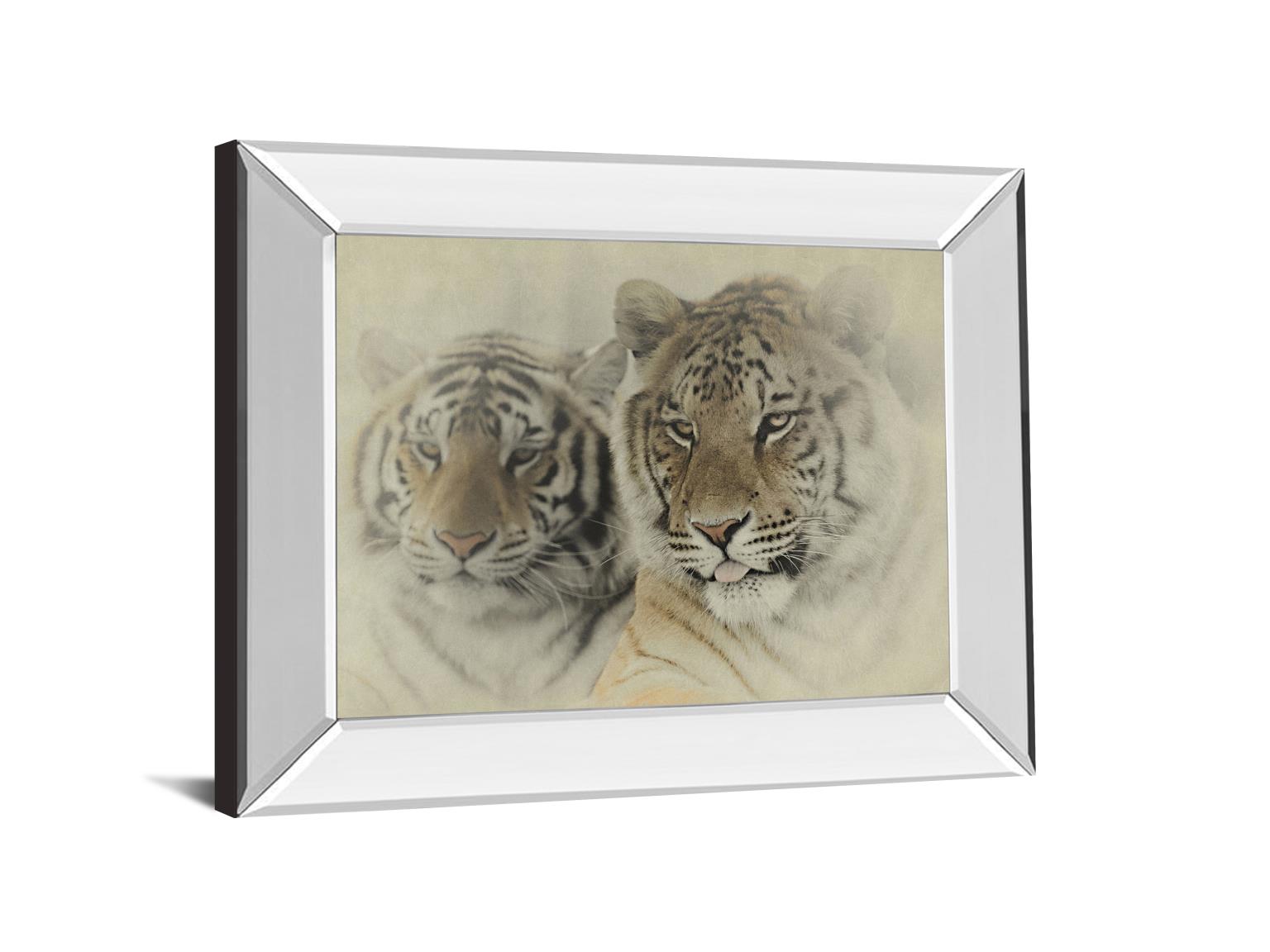 Mystic Realm By Wink Gaines 22X26 Mirror Frame Print