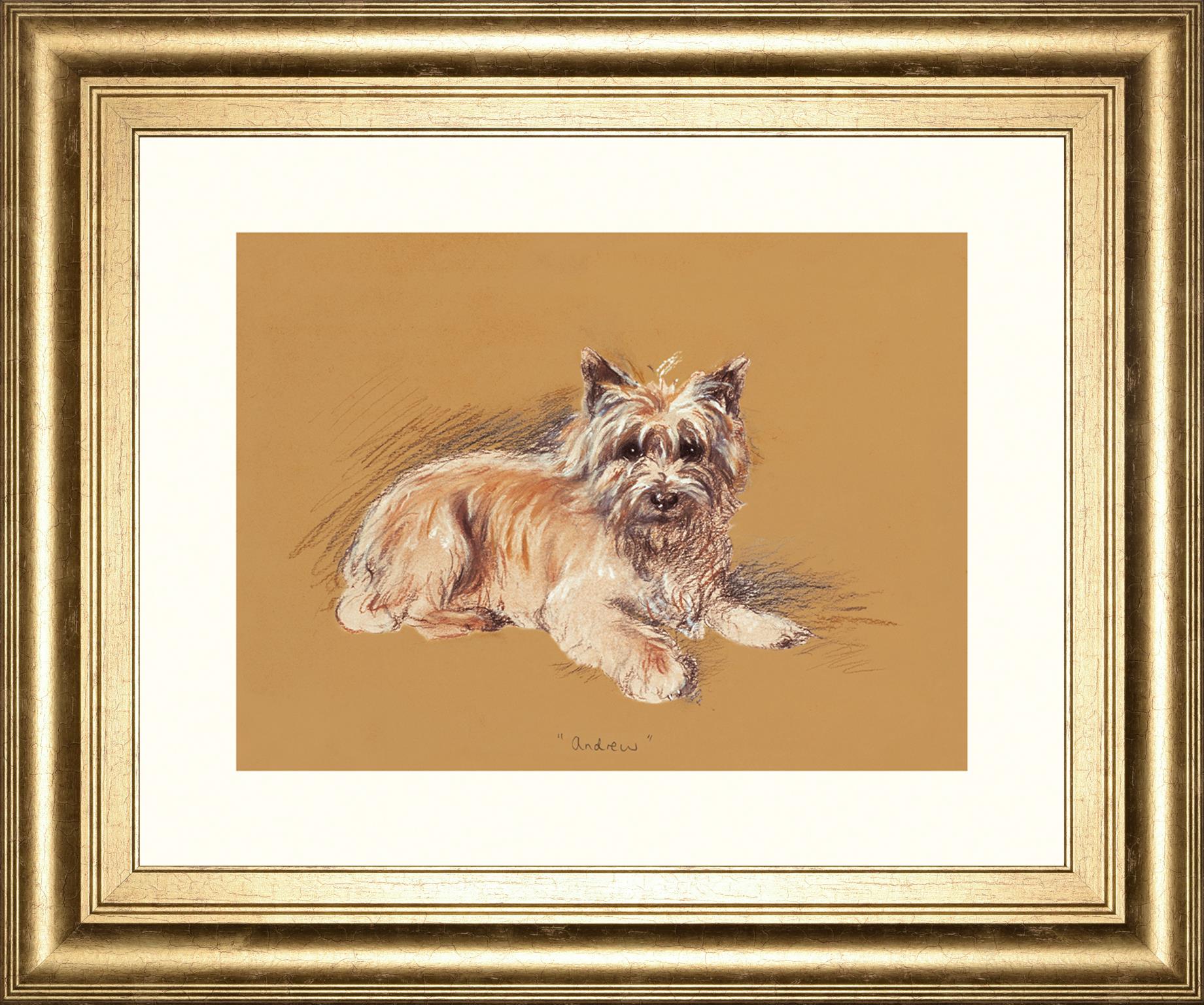 Andrew By Mac 22X26 Framed Print