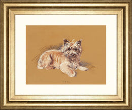 Andrew By Mac 22X26 Framed Print