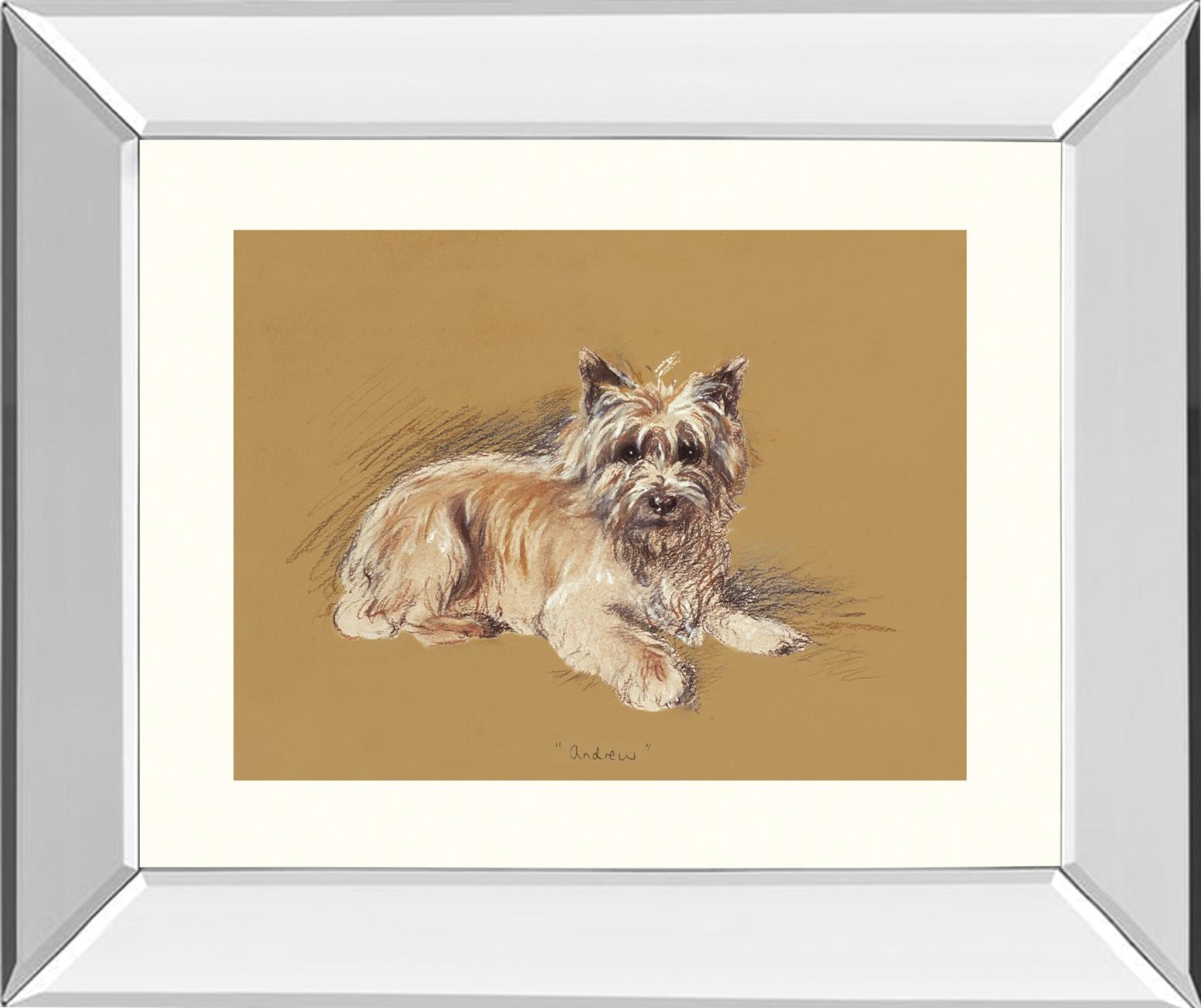 Andrew By Mac 22X26 Mirror Frame Print