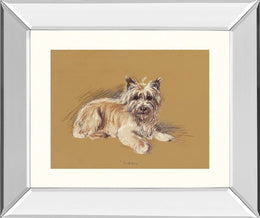 Andrew By Mac 22X26 Mirror Frame Print