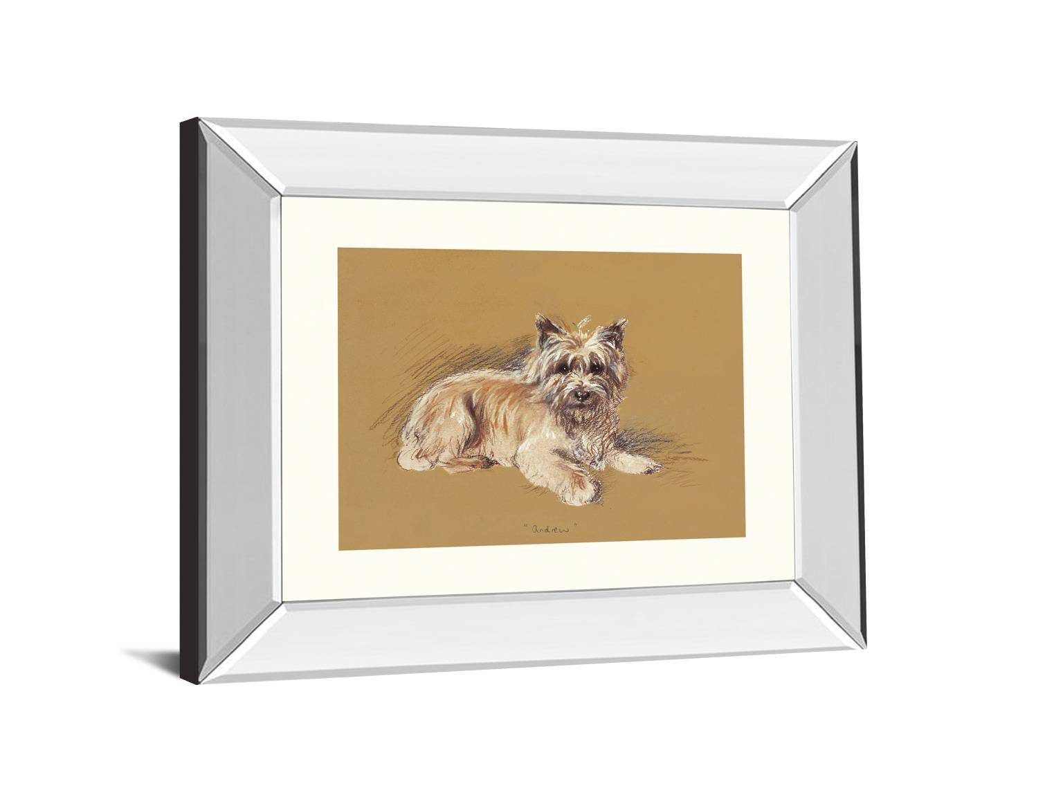 Andrew By Mac 22X26 Mirror Frame Print
