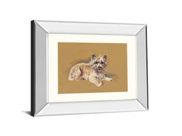 Andrew By Mac 22X26 Mirror Frame Print