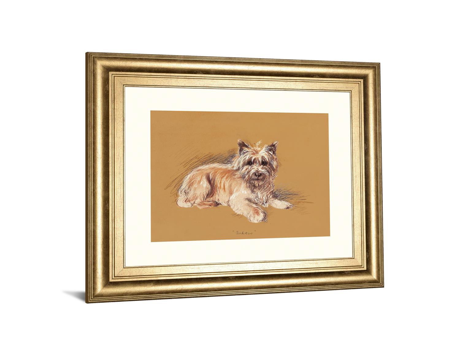 Andrew By Mac 22X26 Framed Print