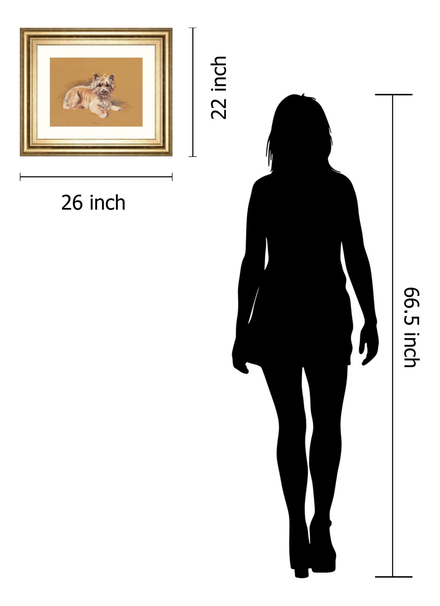 Andrew By Mac 22X26 Framed Print