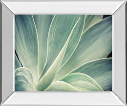 Fresnillo By Irene Suchocki 22X26 Mirror Frame Print