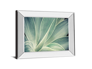 Fresnillo By Irene Suchocki 22X26 Mirror Frame Print