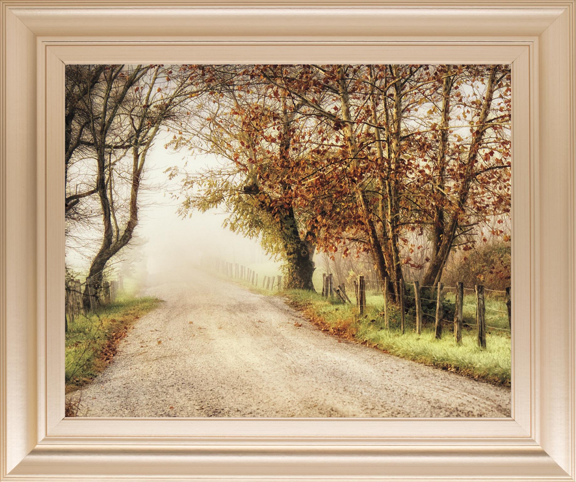 Fog Ahead By D. Burt 22X26 Framed Print