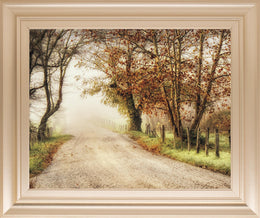 Fog Ahead By D. Burt 22X26 Framed Print