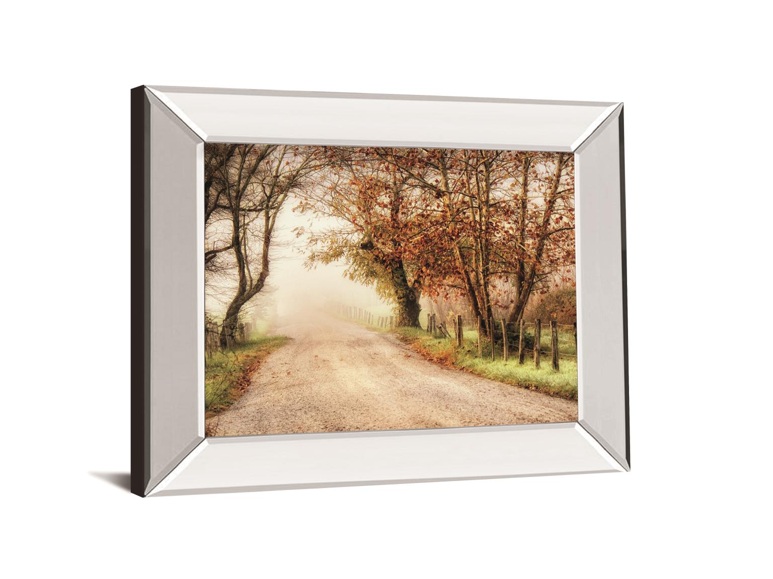Fog Ahead By D. Burt 22X26 Mirror Frame Print