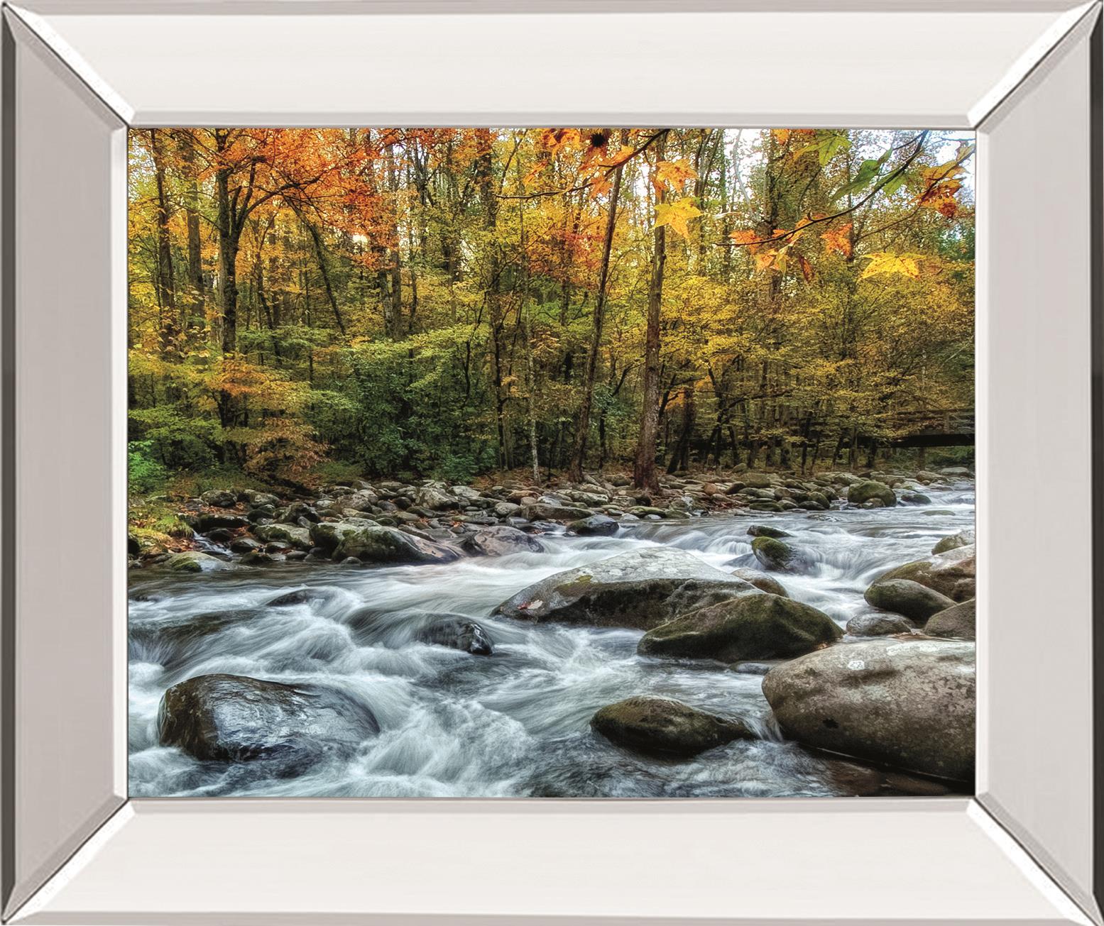 Painted Autumn By D. Burt 22X26 Mirror Frame Print