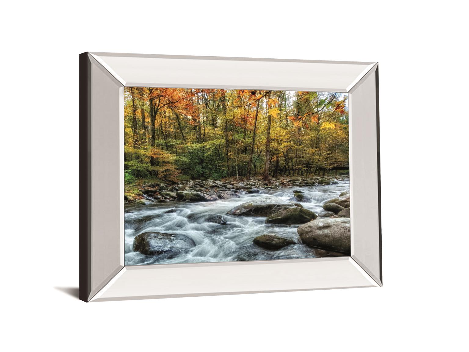 Painted Autumn By D. Burt 22X26 Mirror Frame Print