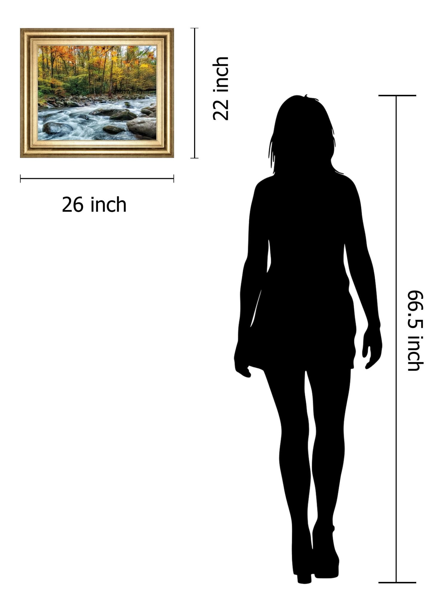 Painted Autumn By D. Burt 22X26 Framed Print