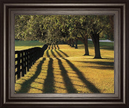Chasing Shadows By Mike Jones 22X26 Framed Print