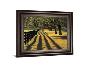 Chasing Shadows By Mike Jones 22X26 Framed Print