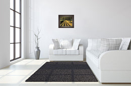 Chasing Shadows By Mike Jones 22X26 Framed Print