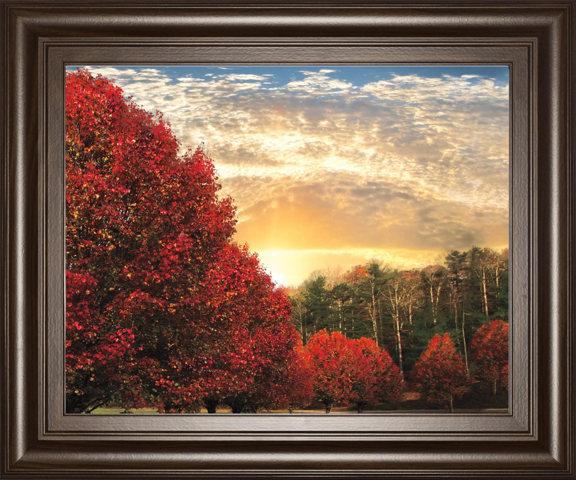 Crimson Tress By Celebrate Life Gallery 22X26 Framed Print