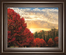 Crimson Tress By Celebrate Life Gallery 22X26 Framed Print