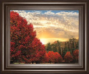 Crimson Tress By Celebrate Life Gallery 22X26 Framed Print