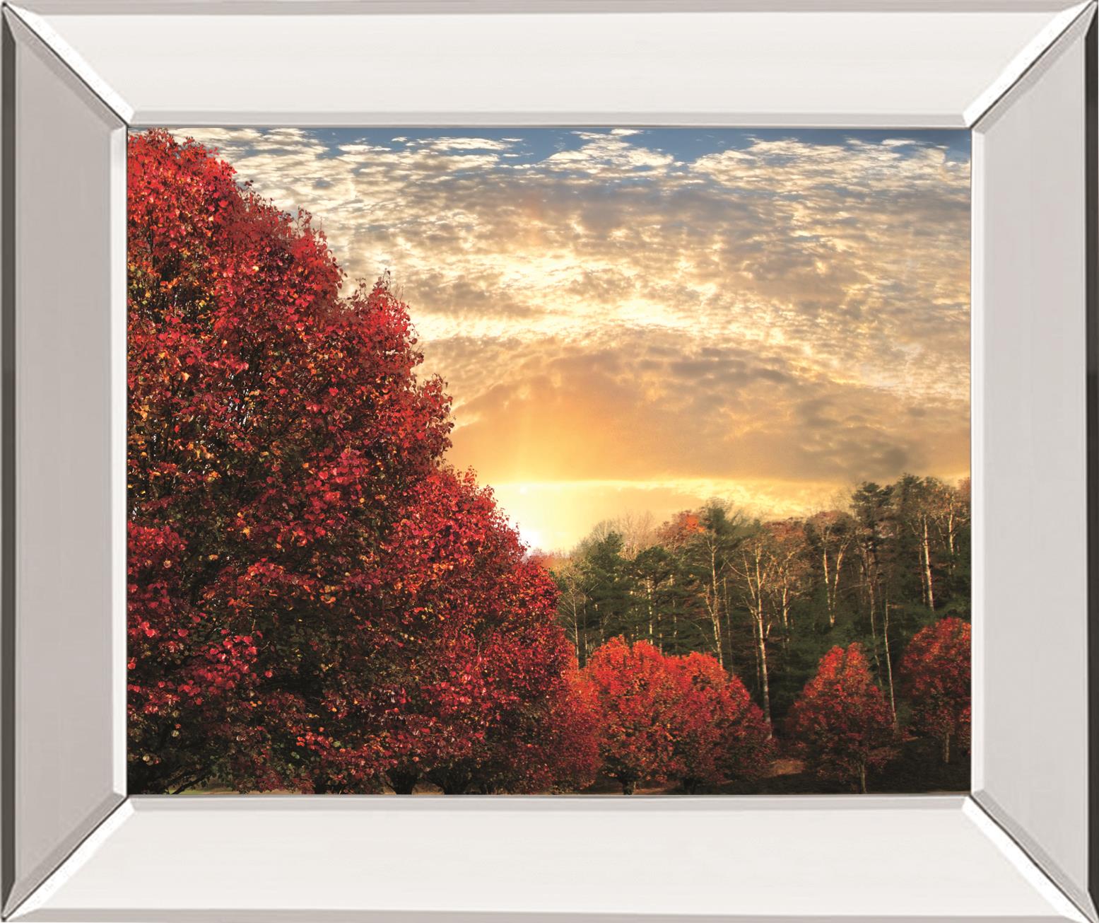 Crimson Tress By Celebrate Life Gallery 22X26 Mirror Frame Print