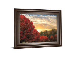 Crimson Tress By Celebrate Life Gallery 22X26 Framed Print