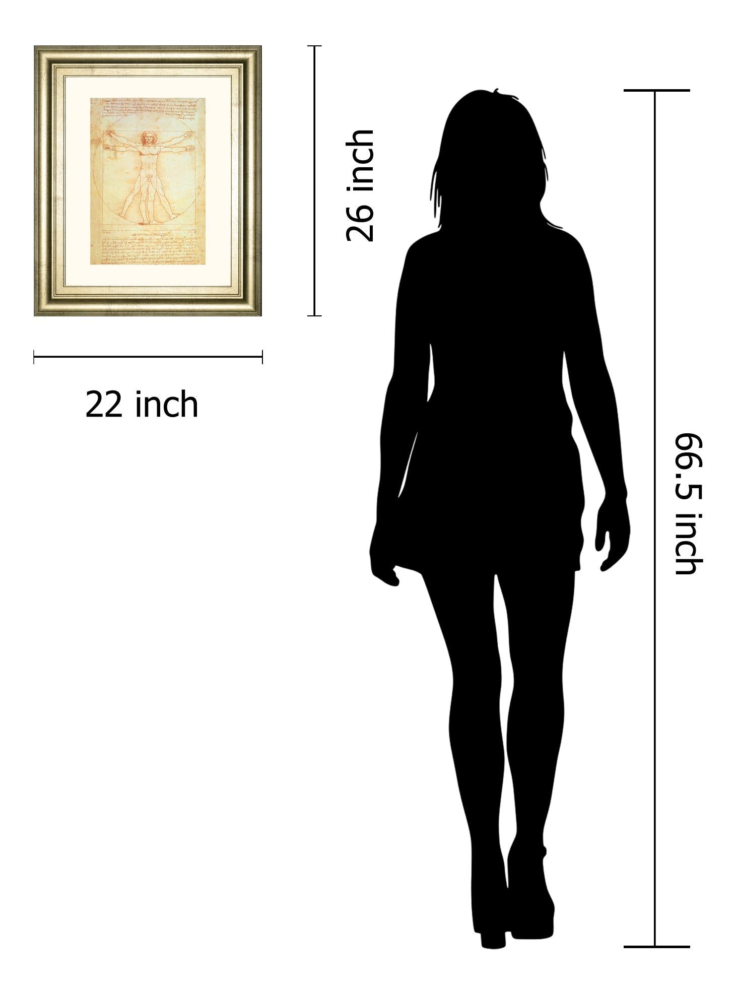 Vituvian Man By Leonardo Da Vinci 22X26 Framed Print