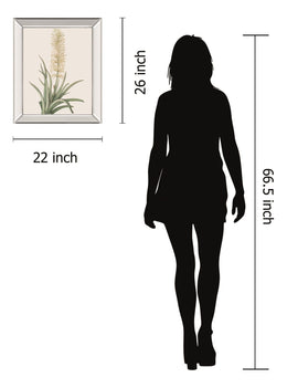 Sansevieria Zeylancia By Pierre Joseph Redoute 22X26 Mirror Frame Print