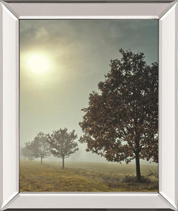 It'S A New DayÂ  By Frank, A 22X26 Mirror Frame Print