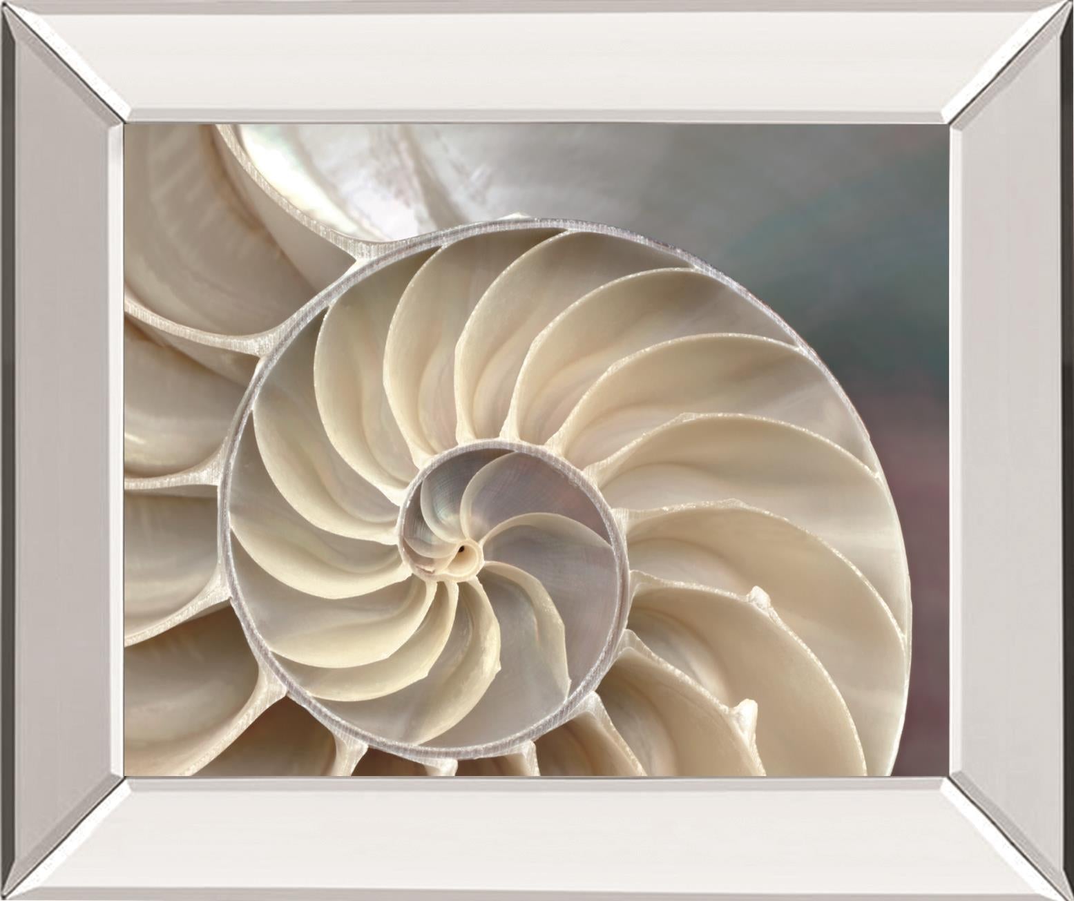 Nautilus By Levine, A. 22X26 Mirror Frame Print