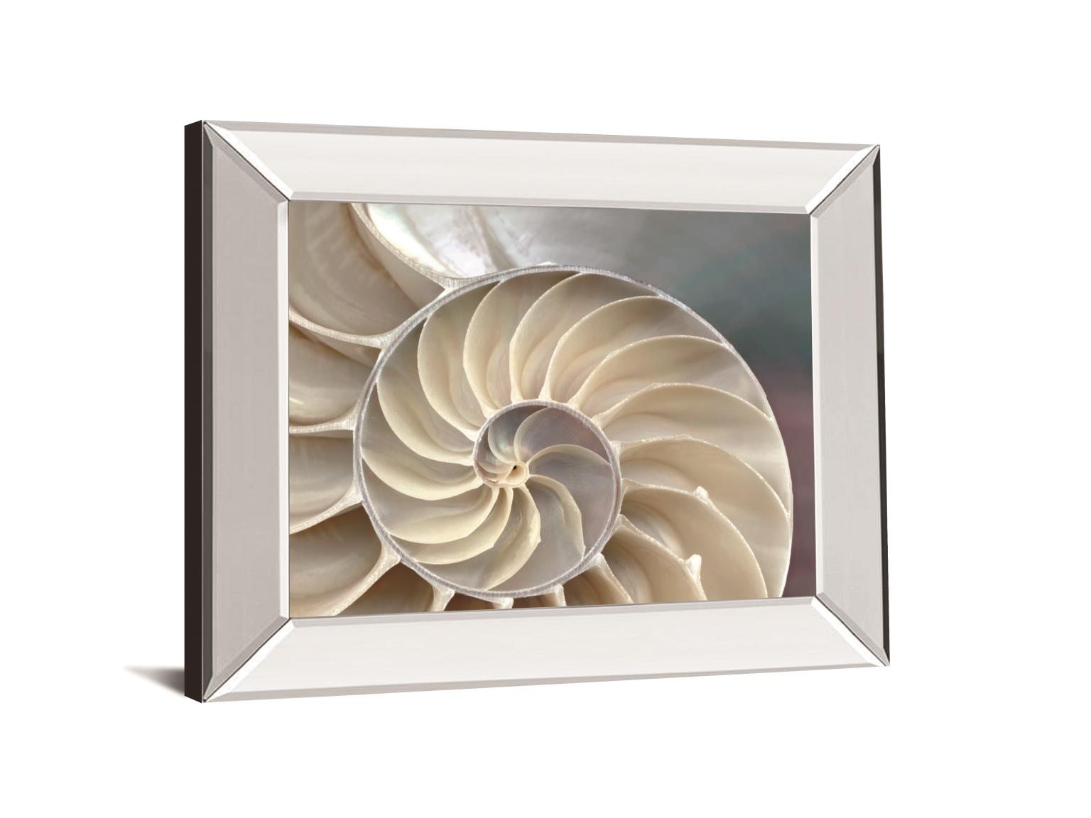Nautilus By Levine, A. 22X26 Mirror Frame Print