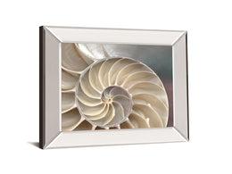 Nautilus By Levine, A. 22X26 Mirror Frame Print